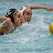 Michigan freshman Presley Pender swims and pushes off a Brown player on Friday, April 26. Daniel Brenner I AnnArbor.com